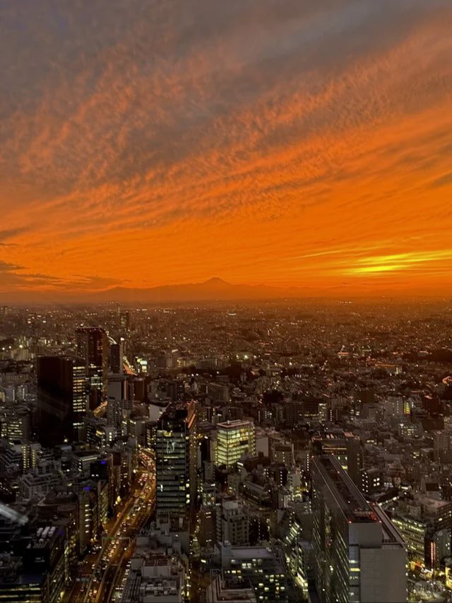 SHIBUYA SKY(17:20固定入场)